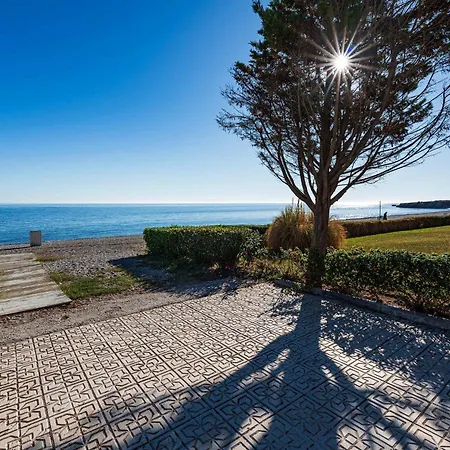 Jardines Del Mar